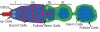 thumbnail image from paper