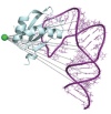 thumbnail image from paper