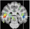 thumbnail image from paper