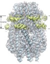 thumbnail image from paper