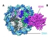 thumbnail image from paper