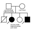 thumbnail image from paper