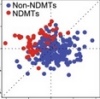 thumbnail image from paper