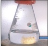 thumbnail image from paper
