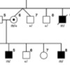 thumbnail image from paper