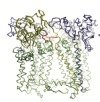 thumbnail image from paper