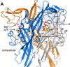 thumbnail image from paper