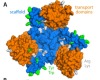 thumbnail image from paper