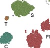 thumbnail image from paper