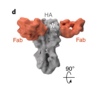 thumbnail image from paper