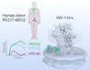 thumbnail image from paper