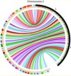 thumbnail image from paper