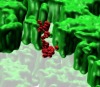 thumbnail image from paper