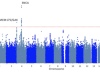 thumbnail image from paper
