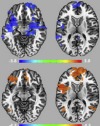 thumbnail image from paper