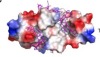 thumbnail image from paper