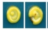 thumbnail image from paper