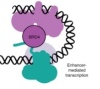 thumbnail image from paper