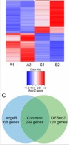thumbnail image from paper