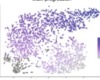 thumbnail image from paper