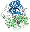 thumbnail image from paper