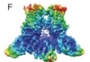 thumbnail image from paper