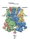 thumbnail image from paper