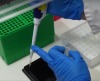 thumbnail image from paper