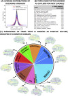 thumbnail image from paper