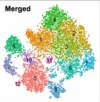 thumbnail image from paper