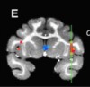 thumbnail image from paper