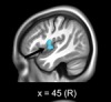 thumbnail image from paper