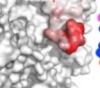 thumbnail image from paper