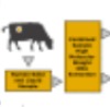 thumbnail image from paper
