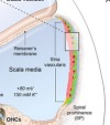 thumbnail image from paper