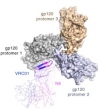 thumbnail image from paper