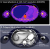 thumbnail image from paper