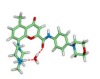 thumbnail image from paper