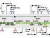 thumbnail image from paper
