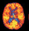 thumbnail image from paper