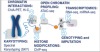 thumbnail image from paper
