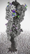 thumbnail image from paper