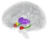 thumbnail image from paper