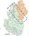 thumbnail image from paper