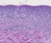 thumbnail image from paper