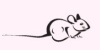 thumbnail image from paper