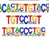 thumbnail image from paper