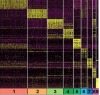 thumbnail image from paper