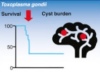 thumbnail image from paper