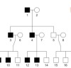 thumbnail image from paper